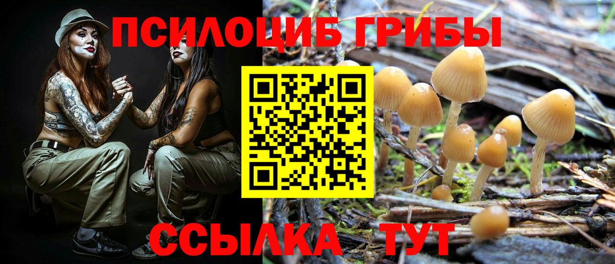 Галлюциногенные грибы мицелий Североморск